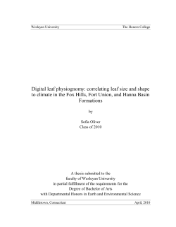 Digital leaf physiognomy: correlating leaf size and