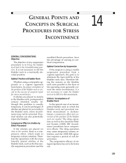 Chapter 14 - Totally Yu!