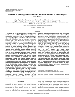 Evolution of pharyngeal behaviors and neuronal functions in free