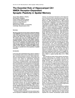 The Essential Role of Hippocampal CA1 NMDA Receptor