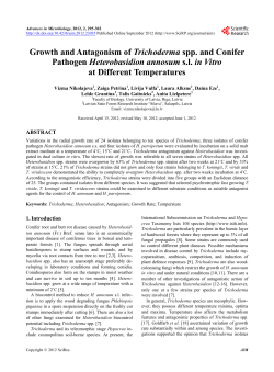 Growth and Antagonism of Trichoderma spp. and Conifer Pathogen