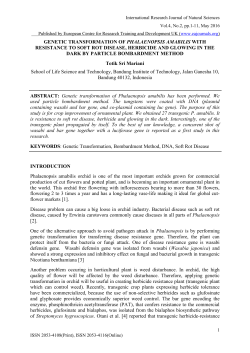GENETIC TRANSFORMATION OF PHALAENOPSIS AMABILIS