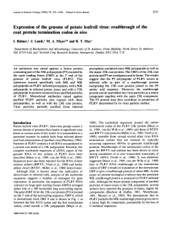 Expression of the genome of potato leafroll virus: readthrough of the