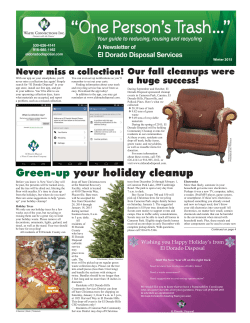 Green-up your holiday cleanup