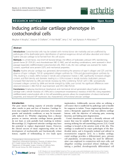 Inducing articular cartilage phenotype in costochondral cells