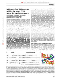 letters A histone fold TAF octamer within the yeast TFIID
