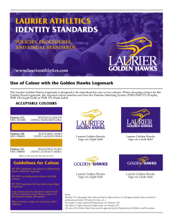 Golden Hawk Logo Standards