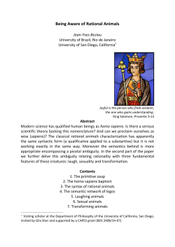 Being Aware of Rational Animals - Jean