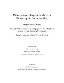 Miscellaneous Experiments with Phototrophic Communities