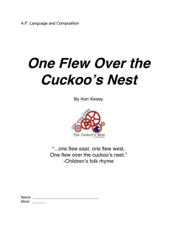 One Flew Over the Cuckoo`s Nest
