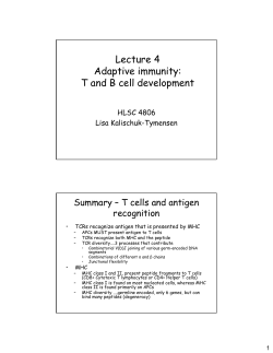 Lecture 4 Adaptive immunity: T and B cell