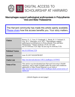 Macrophages support pathological erythropoiesis in Polycythemia