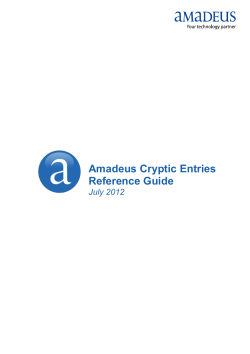 Amadeus Cryptic Entries Reference Guide