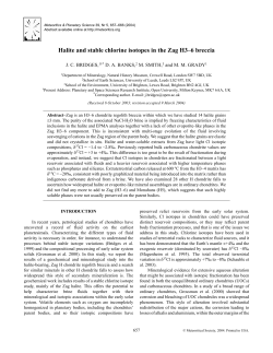 Halite and stable chlorine isotopes in the Zag H3&ndash;6 breccia