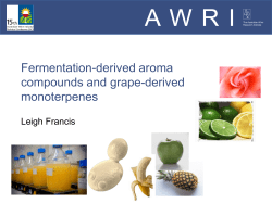 Fermentation-derived aroma compounds and grape