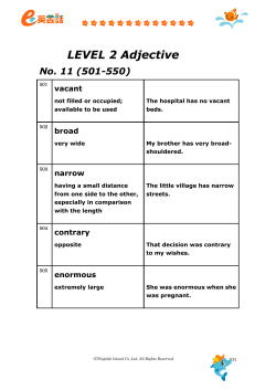 LEVEL 2 Adjective No. 11 (501-550)