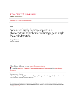Subunits of highly fluorescent protein R