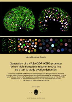 Generation of a VASA/GDF-9/ZP3-promoter driven triple transgenic