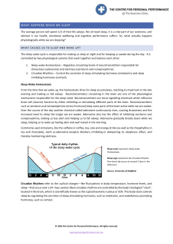 Sleep Physiology: What happens when we sleep