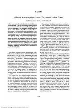Effect of ambient pH on corneal endothelial sodium fluxes.