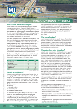 IRRIGATION INDUSTRY BASICS Murrumbidgee Irrigation