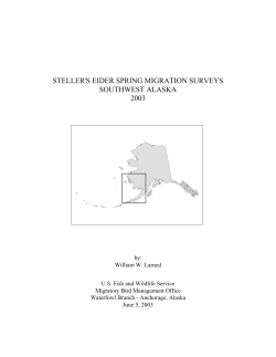 C:\My Documents\Surveys\Swak STEI\2003\swstrp03b.wpd