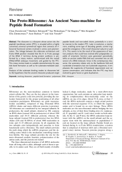 The Proto-Ribosome - Center for Ribosomal Origins and Evolution
