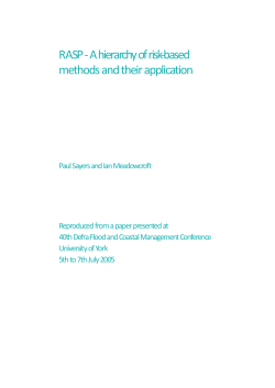 RASP - A hierarchy of risk-based methods and their application