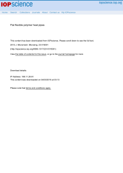 Flat flexible polymer heat pipes