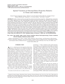 Spatial Variation in Osteonal Bone Properties Relative to Tissue and