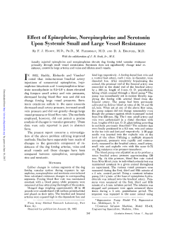 Effect of Epinephrine, Norepinephrine and Serotonin Upon Systemic
