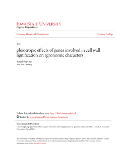 pleiotropic effects of genes involved in cell wall lignification on