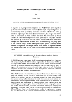 Advantages and Disadvantages of the SE-Statute