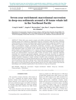 Seven-year enrichment: macrofaunal succession in deep