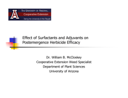 Effect of Surfactants and Adjuvants on Postemergence Herbicide