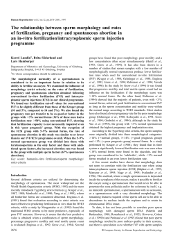 The relationship between sperm morphology and rates of