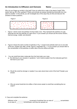 An Introduction to Diffusion and Osmosis Name