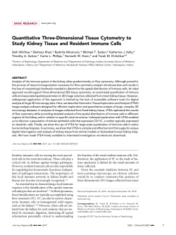 Quantitative Three-Dimensional Tissue Cytometry to Study Kidney