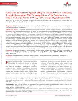 Sulfur Dioxide Protects Against Collagen Accumulation in
