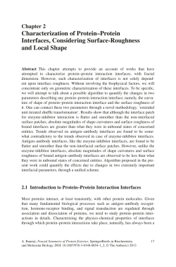 Characterization of Protein&ndash;Protein Interfaces, Considering Surface