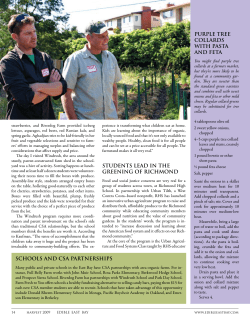 PURPlE TREE COllARDS WITH PASTA AND FETA