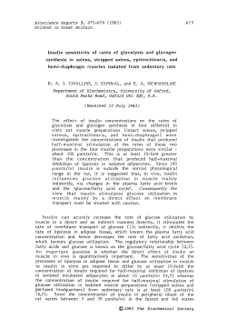 Insulin sensitivity of rates of glycolysis and glycogen synthesis in