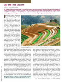 Soil and Food Security