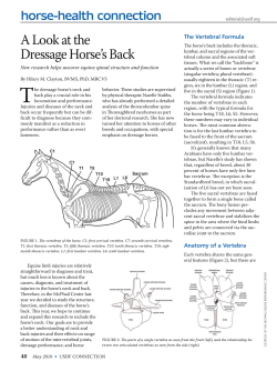 united states dressage federation may 2010