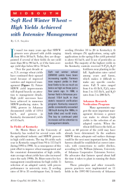 High Yields Achieved with Intensive Management