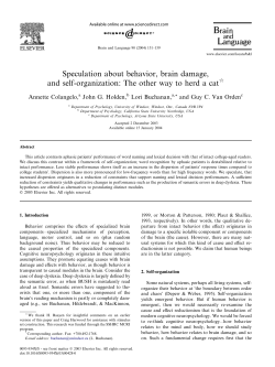 Speculation about behavior, brain damage, and self