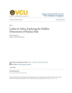 Lashes to Ashes, Exploring the Hidden Dimensions of Human Hair