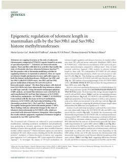 Epigenetic regulation of telomere length in mammalian cells