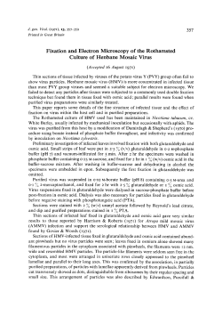 Fixation and Electron Microscopy of the Rothamsted Culture of