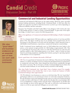Commercial and Industrial Lending Opportunities